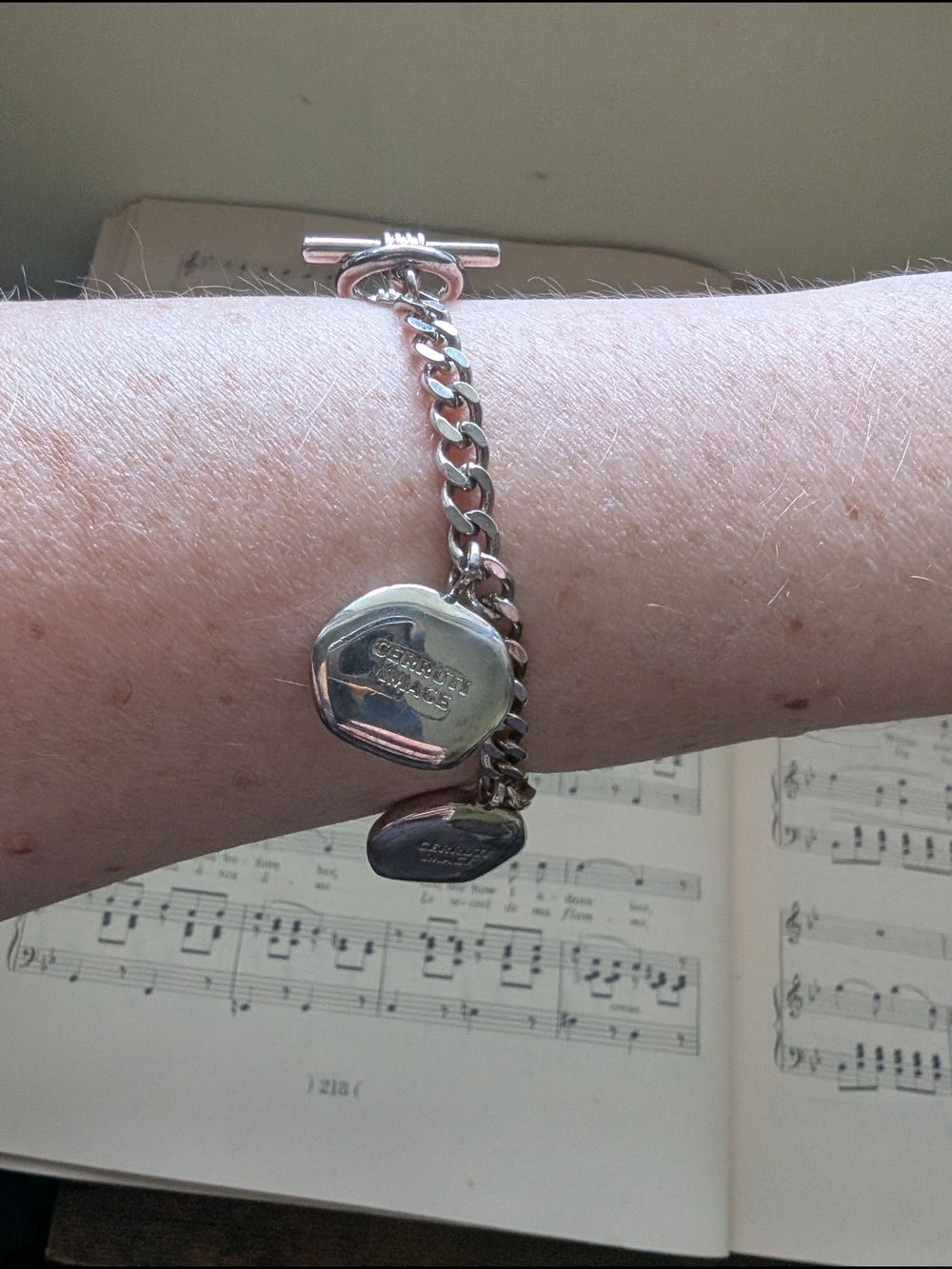 Cerruti Sterling Silver Charm Bracelet with Inspiration Charms - Picture 14 of 16